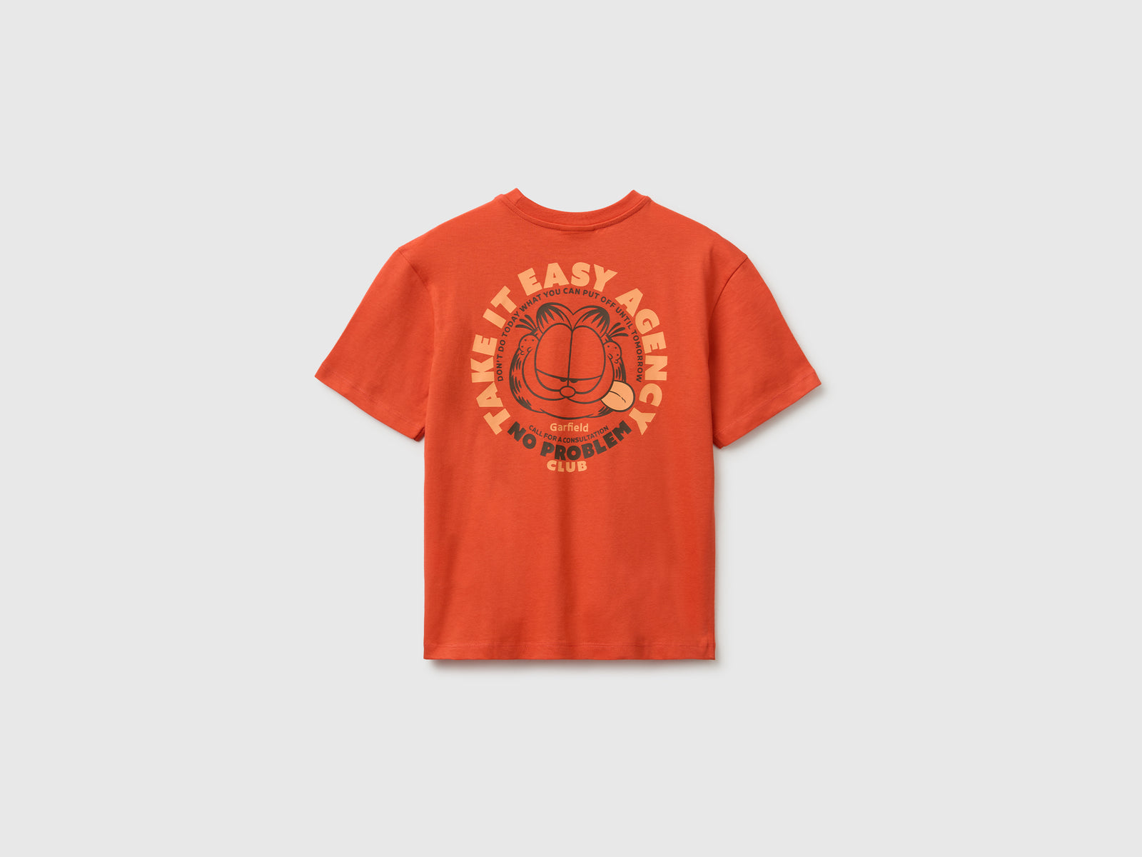 Garfield T-shirt - ucb_image_BS