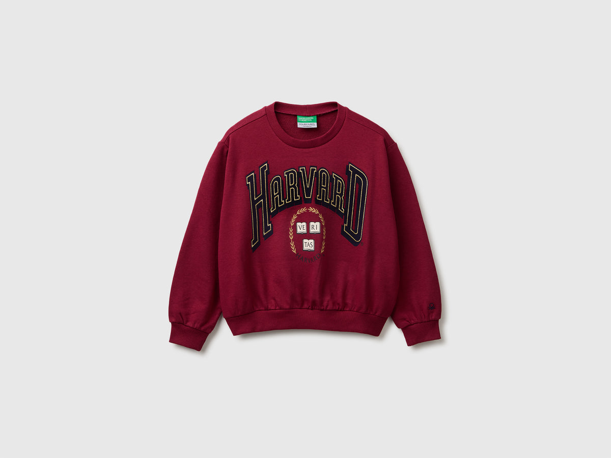 Sweat ©Harvard University - ucb_image_FS