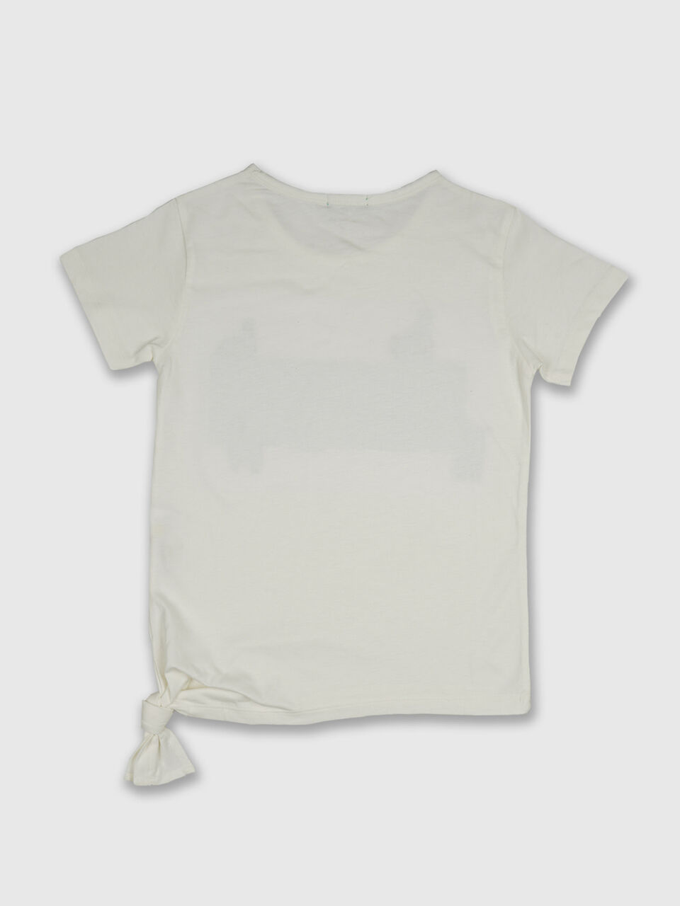 Banner With Llama Tee image number null