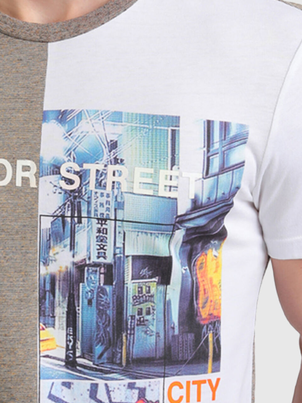 Pure Cotton Tee Shirt with Print image number null