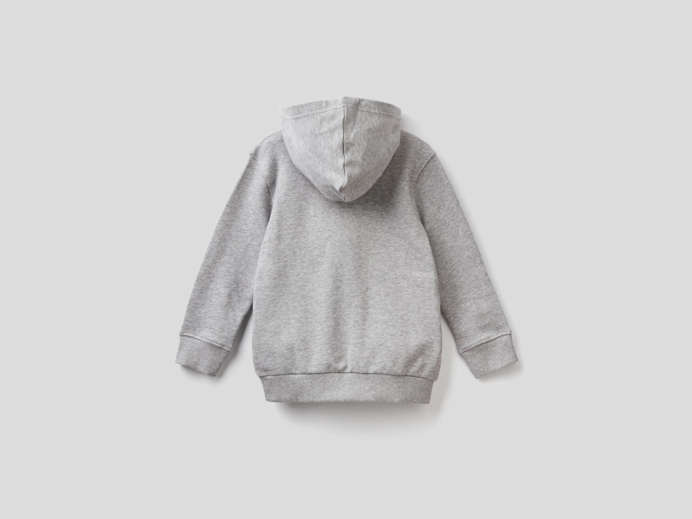 Sudadera de 100% algodón con capucha image number null